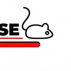 MOUSE3190
