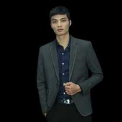 manh linh