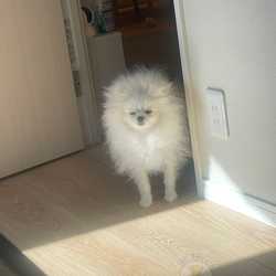 Nguyen Thi Minh Thuy