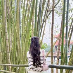 Ngchauuanh