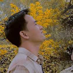 Tung Phan