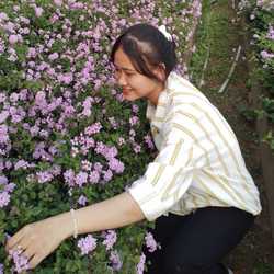 Nguyen Tran Thi Hoa