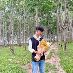 Bao Gia