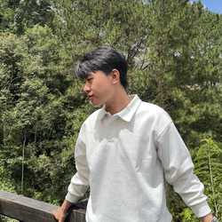 Le Truong Cong Hieu