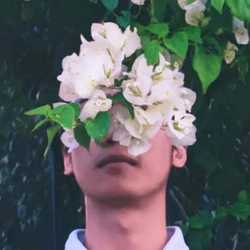 BaoNguyen_IdeaDesign