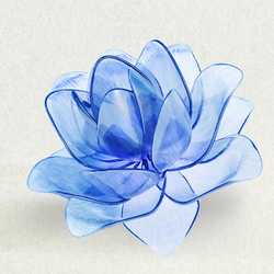 Hi.My