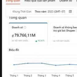 Dinh Vu